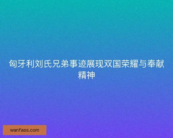匈牙利刘氏兄弟事迹展现双国荣耀与奉献精神